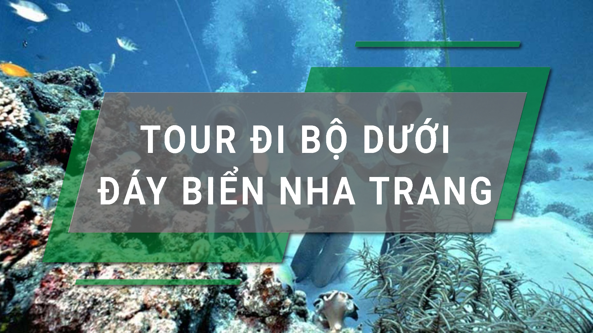 Tour đi bộ dưới đáy biển Nha Trang