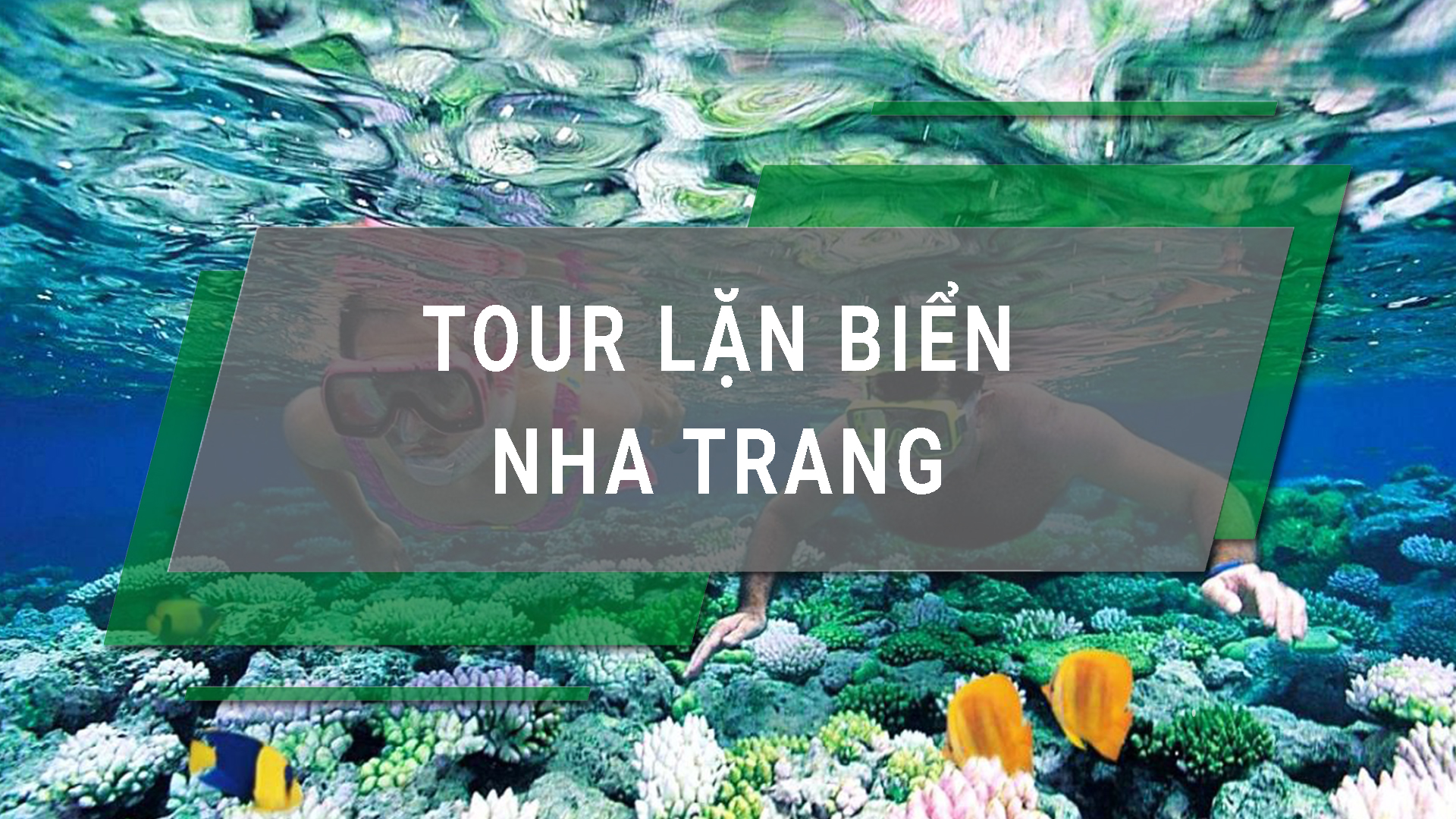 Tour lặn biển Nha Trang